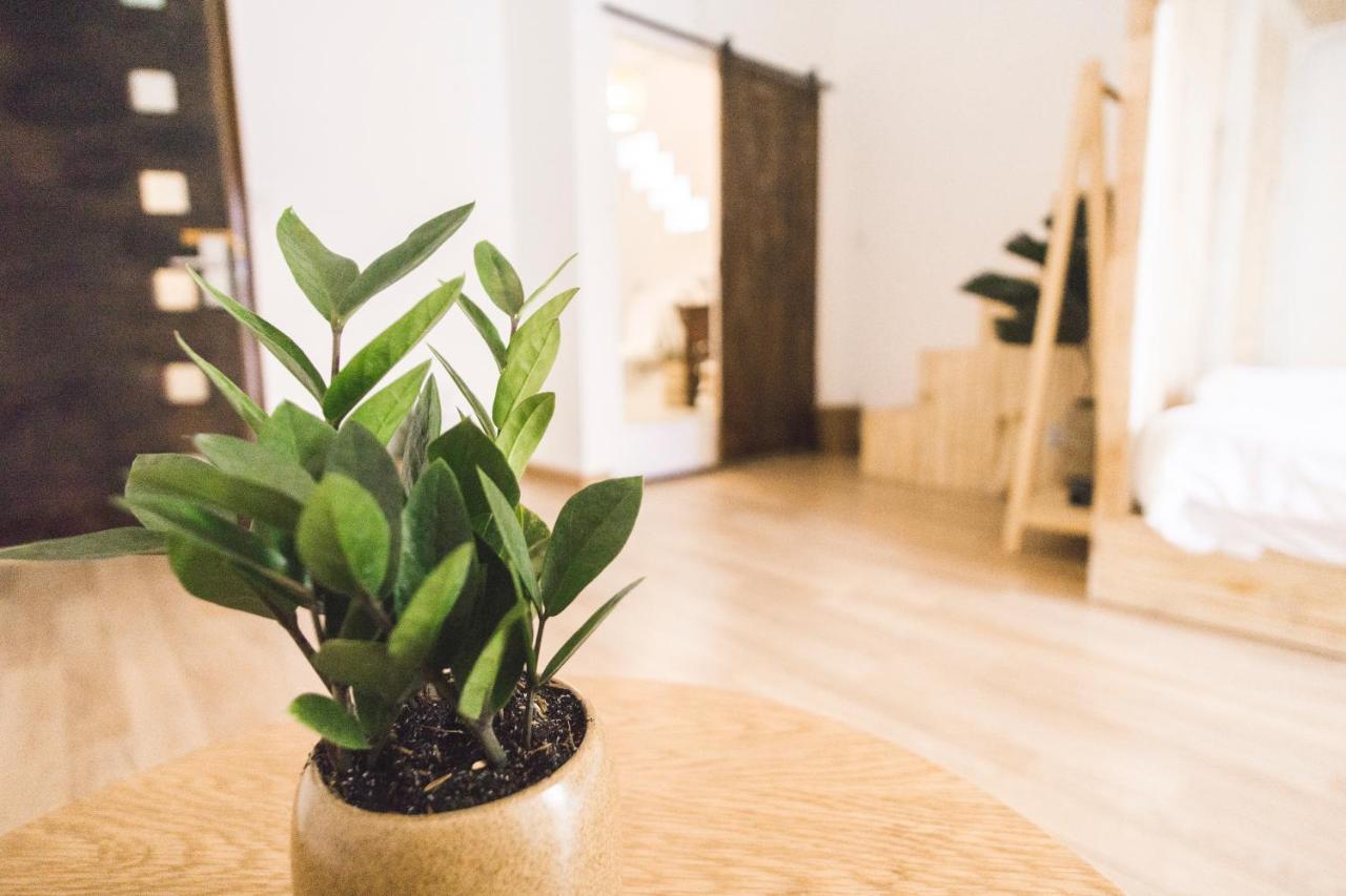 Tam Hostel مدينة هوشي منه المظهر الخارجي الصورة